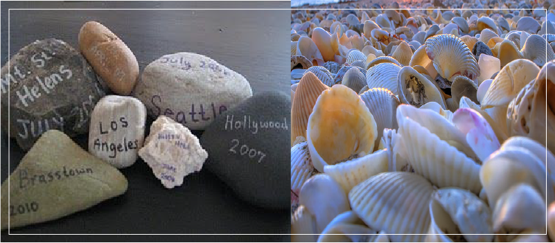 Rocks / Seashells